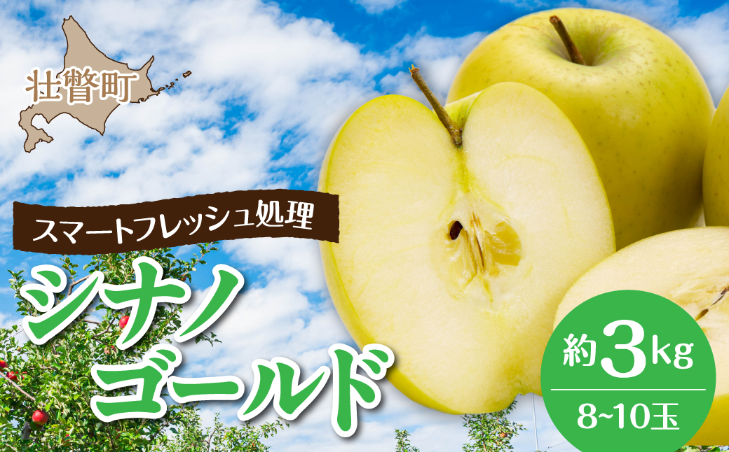 3・4月発送！北海道壮瞥町　りんご(スマートフレッシュ)　品種名「シナノゴールド」8～10玉約3kg　SBTF028