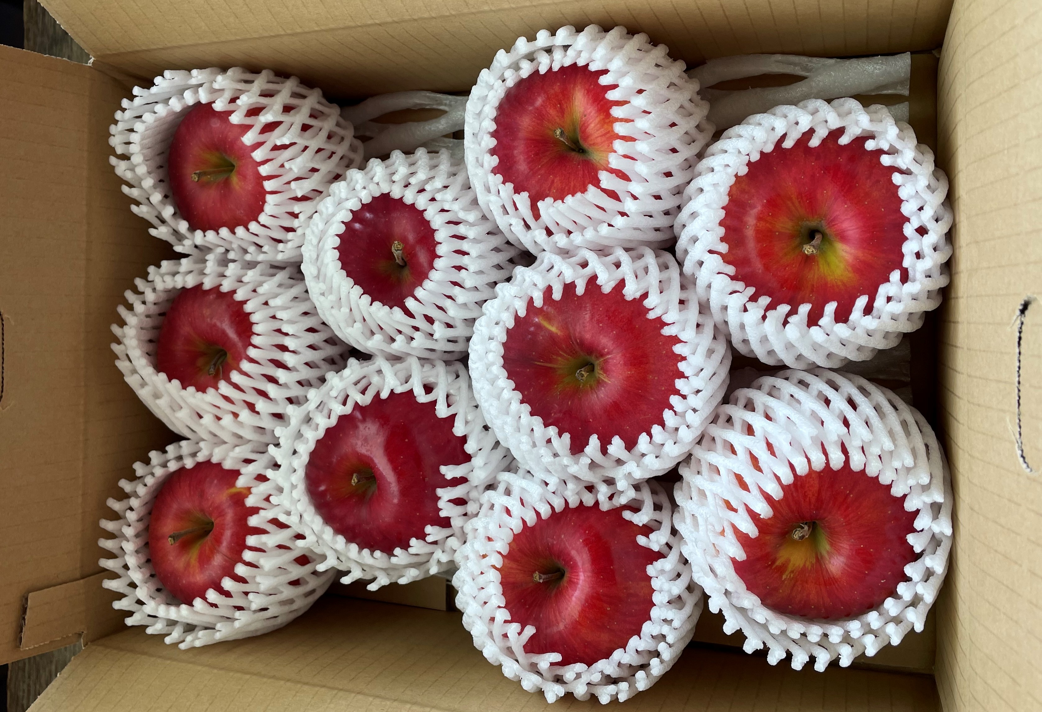 北海道壮瞥町　りんご(スマートフレッシュ)　品種名「シナノスイート」8～10玉約3kg　SBTF026