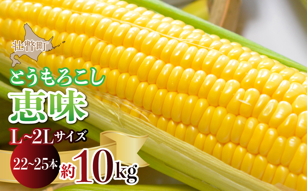 ＜2026年8月初旬よりお届け＞約10kg！北海道壮瞥産とうもろこし（恵味）【Ｌ〜2Lサイズ 22〜25本】 SBTP006