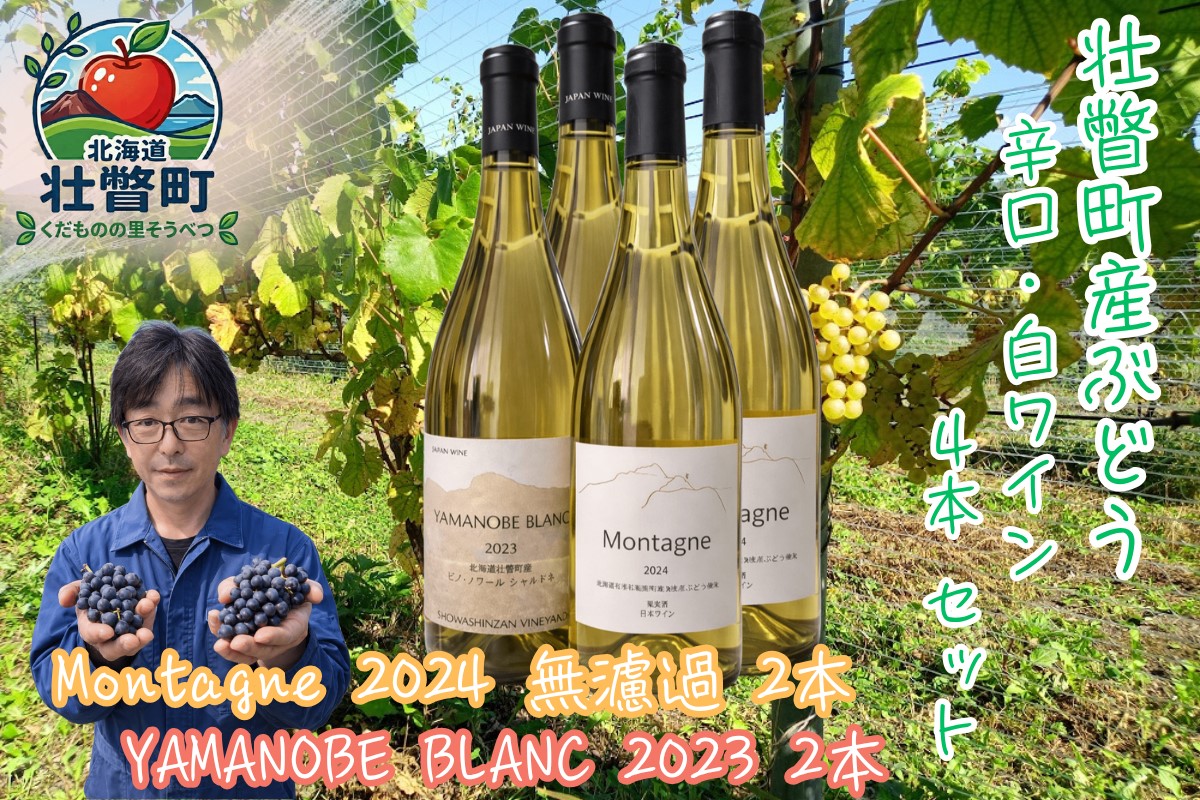 昭和新山ワイン　YAMANOBE BLANC 2023(ヤマノベブラン）とMontagne 2024 無濾過(モンターニュ） の各２本セット 白ワイン 辛口 壮瞥町産ぶどう100%    SBTQ015