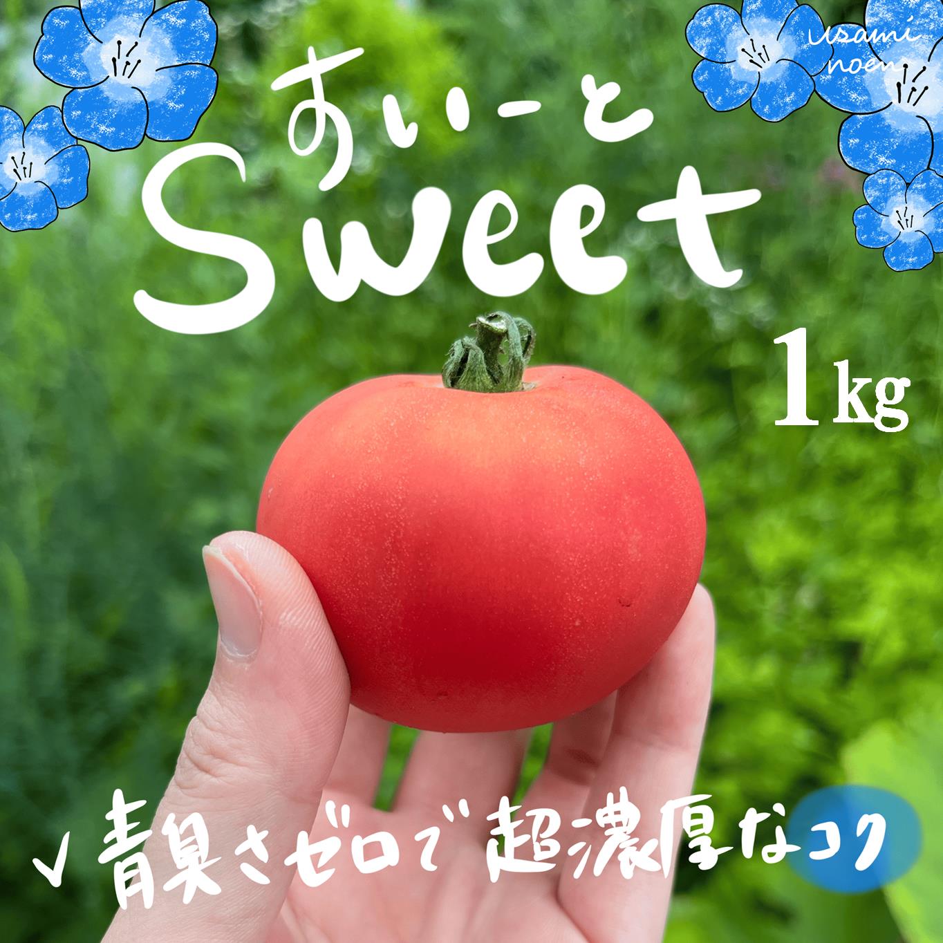 【2026年予約】極旨トマトクール便 北海道壮瞥町産 スイート1kg 中玉トマト SBTAJ016