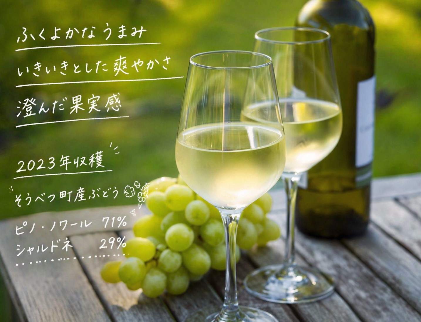 昭和新山ワイン　YAMANOBE BLANC 2023(ヤマノベブラン）白ワイン 辛口 壮瞥町産ぶどう100%  SBTQ012