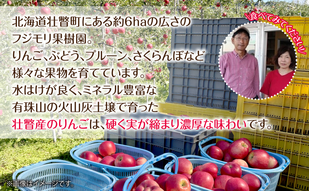 【先行予約】北海道壮瞥町産りんご「サンつがる」約3kg(8～11玉)<2026年9月下旬よりお届け> SBTF001