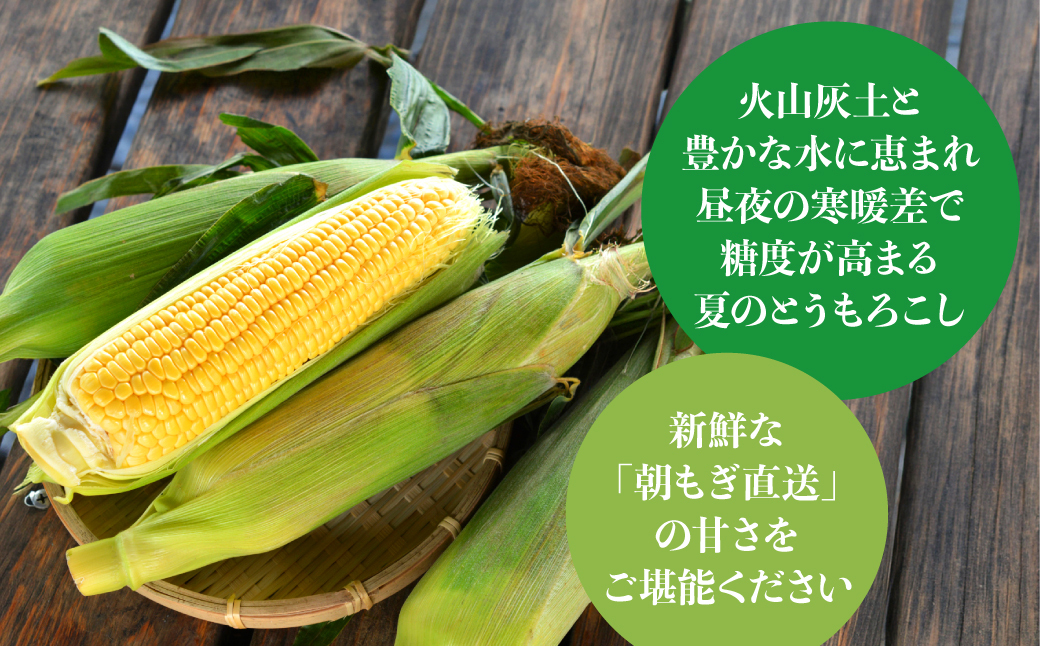 ＜2026年8月お届け＞赤肉メロン2玉ととうもろこし（恵味）11〜13本のセット  SBTP015