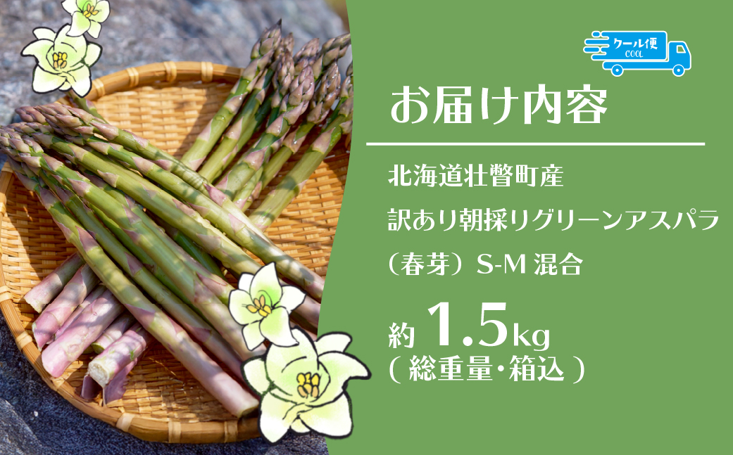 【2026年予約】【訳あり】朝採りグリーンアスパラ（春芽）S-M混合 約1.5kg 北海道壮瞥町産 SBTAJ039