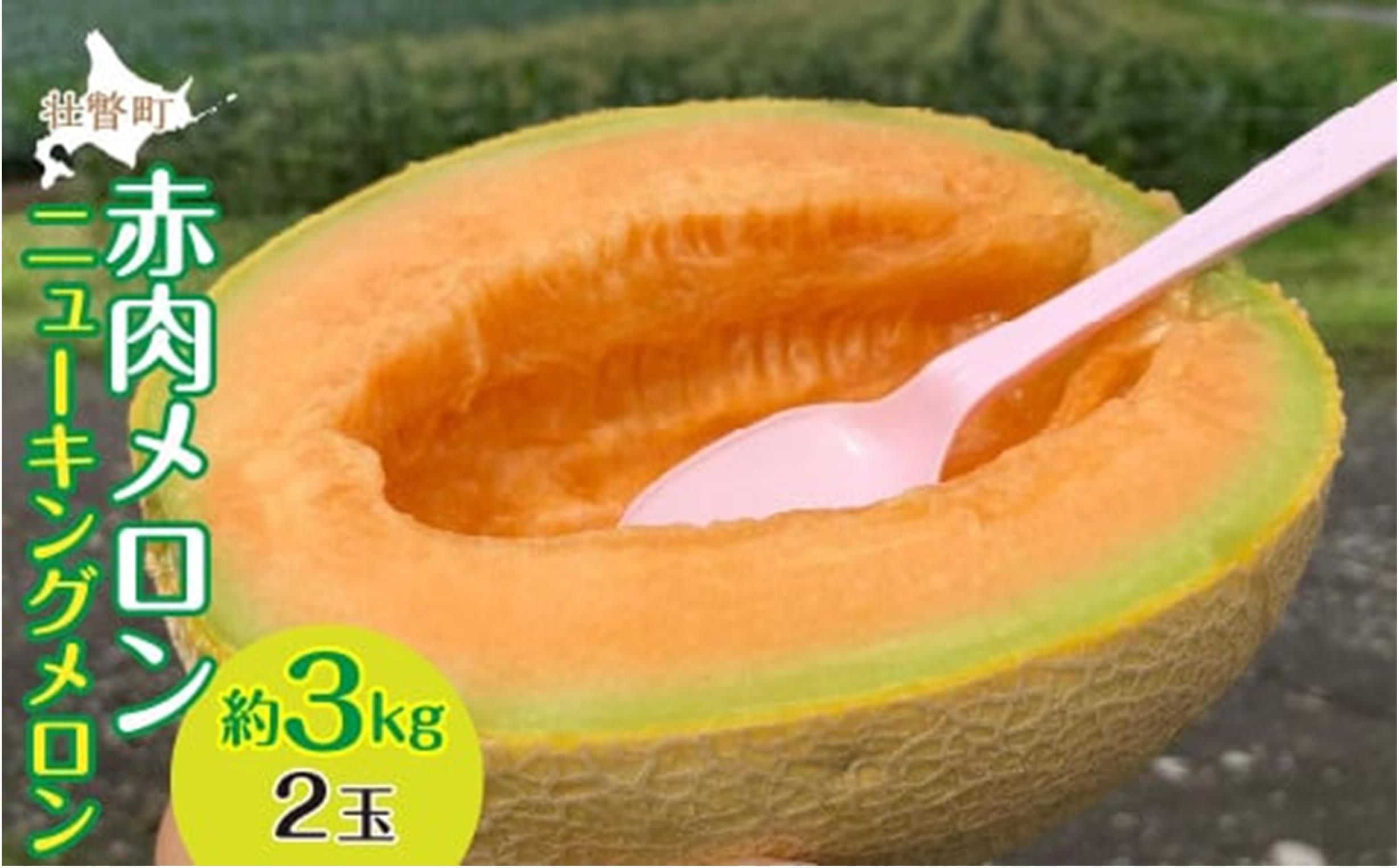 ＜2026年7月下旬よりお届け＞北海道壮瞥産 赤肉メロン（ニューキングメロン）2玉 約3kg SBTN003