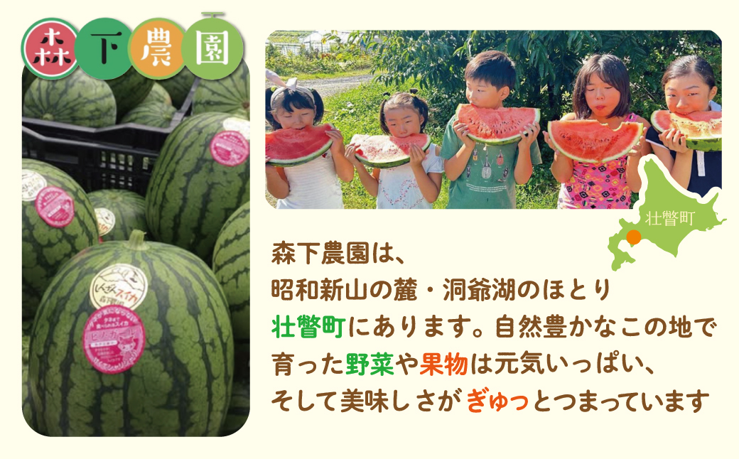 ＜2026年8月上旬より順次お届け＞北海道壮瞥産 小玉すいか（赤肉・ピノガール）2玉約3kg スイカ　 SBTN004