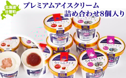 プレミアムアイスクリーム詰め合わせ8個入り 3ヶ月連続お届け SBTA026