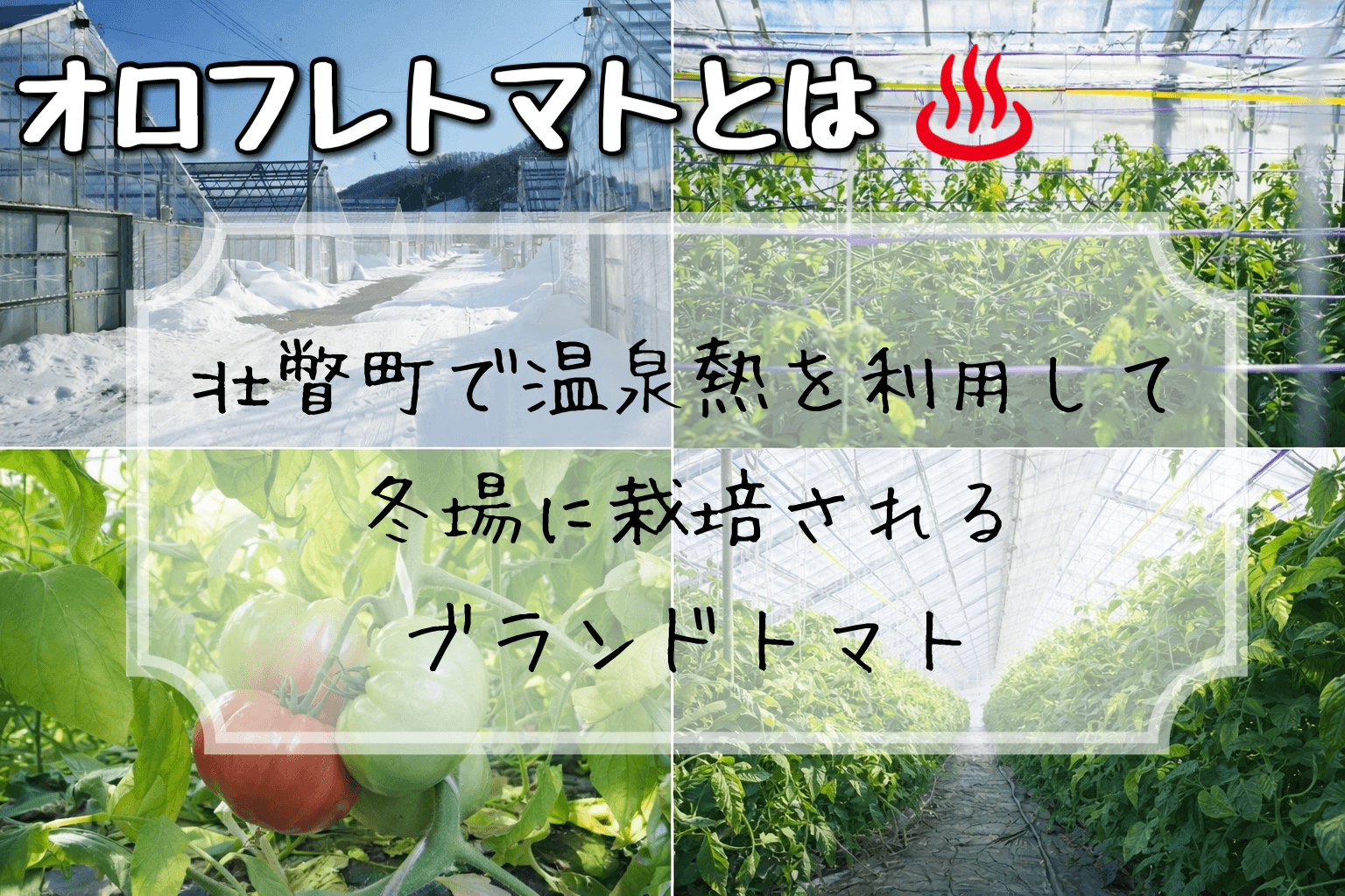 ＜2025年3月上旬より順次お届け＞北海道壮瞥産 オロフレトマト18玉入り（Lサイズ） SBTA029