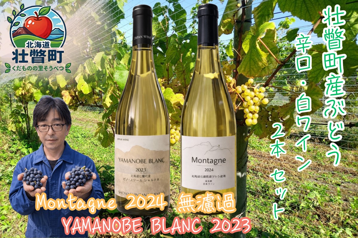 昭和新山ワイン　YAMANOBE BLANC 2023(ヤマノベブラン）とMontagne 2024 無濾過(モンターニュ） の各１本セット 白ワイン 辛口 壮瞥町産ぶどう100%    SBTQ014