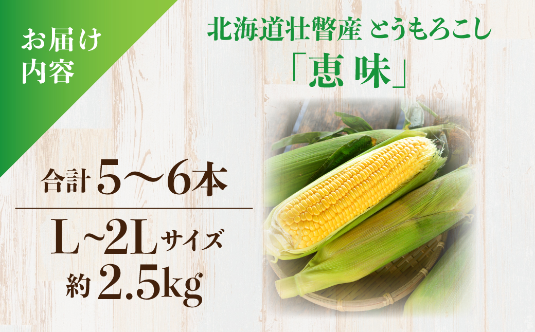 ＜2026年8月初旬よりお届け＞約2.5kg！北海道壮瞥産とうもろこし（恵味）【L〜2Lサイズ 5〜6本】 SBTP014