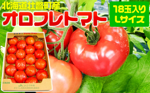 ＜2025年3月上旬より順次お届け＞北海道壮瞥産 オロフレトマト18玉入り（Lサイズ） SBTA029