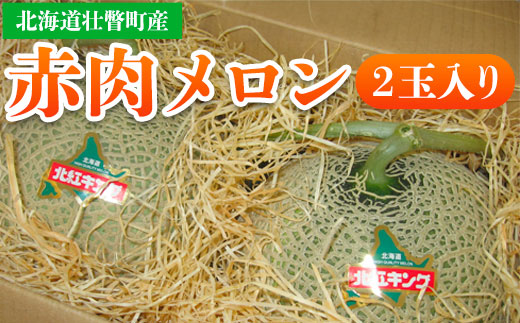 ＜2026年7月上旬よりお届け＞北海道壮瞥産 赤肉メロン 2玉入り SBTA031