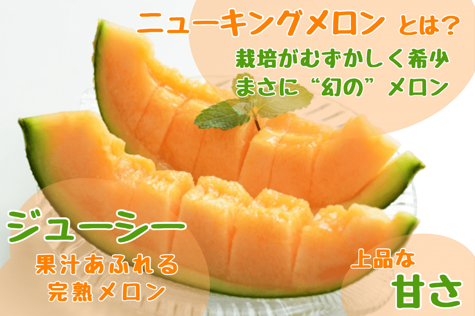 【先行予約】【3回定期便】赤肉メロン2玉＋スイートコーン約5kg(13本)＋じゃがいも(とうや)約10kg 旬のフルーツ・野菜定期便＜7月下旬・8月上旬・9月下旬お届け＞ SBTN014