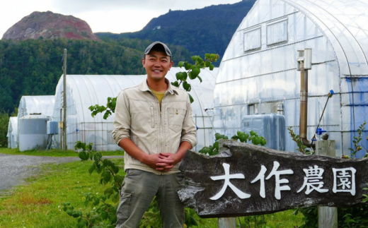 <2026幎4æäžæ¬ãããå±ã>åæµ·é壮ç¥ç£ 倧äœèŸ²åã®ãæ¥æ¡ãã°ãªãŒã³ã¢ã¹ãã©MãLLæ··åãçŽ300gãšã»ããã©ã€ããããªã€ã«æŒ¬ã1ç¶ïŒ110gïŒã®ã»ãã SBTR009