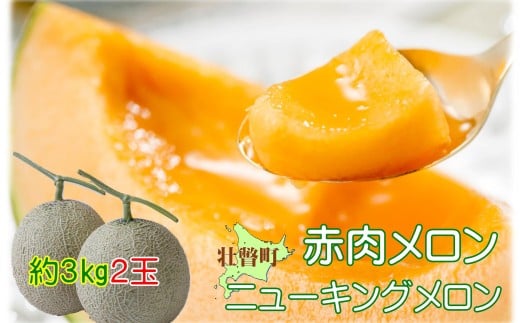 ＜2026年7月下旬よりお届け＞北海道壮瞥産 赤肉メロン（ニューキングメロン）2玉 約3kg SBTN003