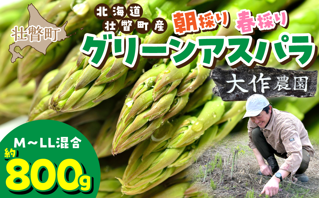 ＜2026年4月上旬よりお届け＞【朝採り】北海道壮瞥町産　春採りグリーンアスパラM〜LL混合 約800g SBTR005