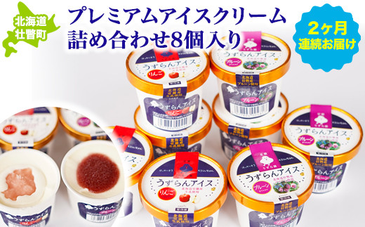 プレミアムアイスクリーム詰め合わせ8個入り6ヶ月連続お届け SBTA027