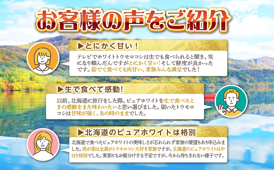 ＜2026年8月中旬よりお届け＞【朝採り】北海道壮瞥町産　ホワイトコーン「ピュアホワイト」Lサイズ以上6本（約2.5kg） SBTQ004
