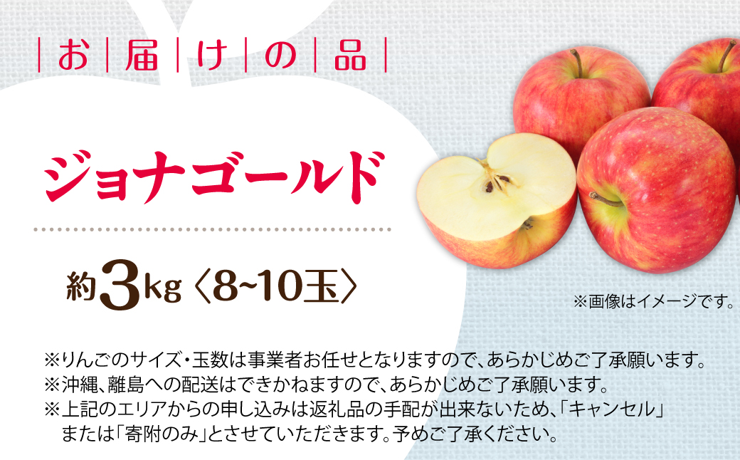 【先行予約】＜2026年10月下旬よりお届け＞北海道壮瞥町　りんご　品種名「ジョナゴールド」8〜10玉約3kg SBTF018