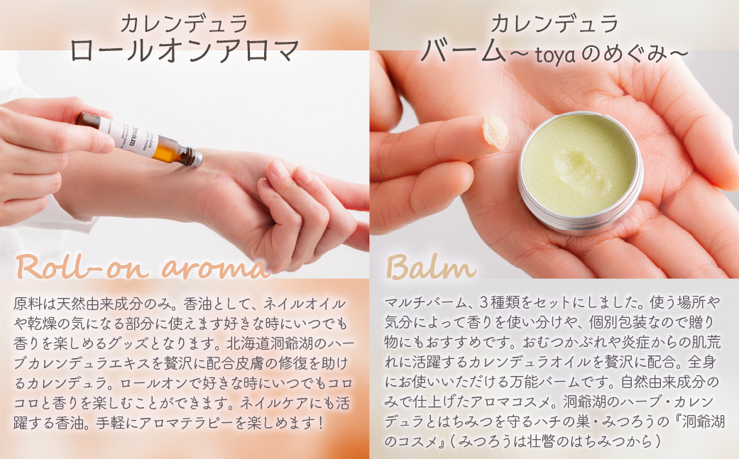 ã«ã¬ã³ãã¥ã©ã»ãã(ããŒã«ãªã³ã¢ãã2çš®ãšããŒã 3çš®) SBTX017