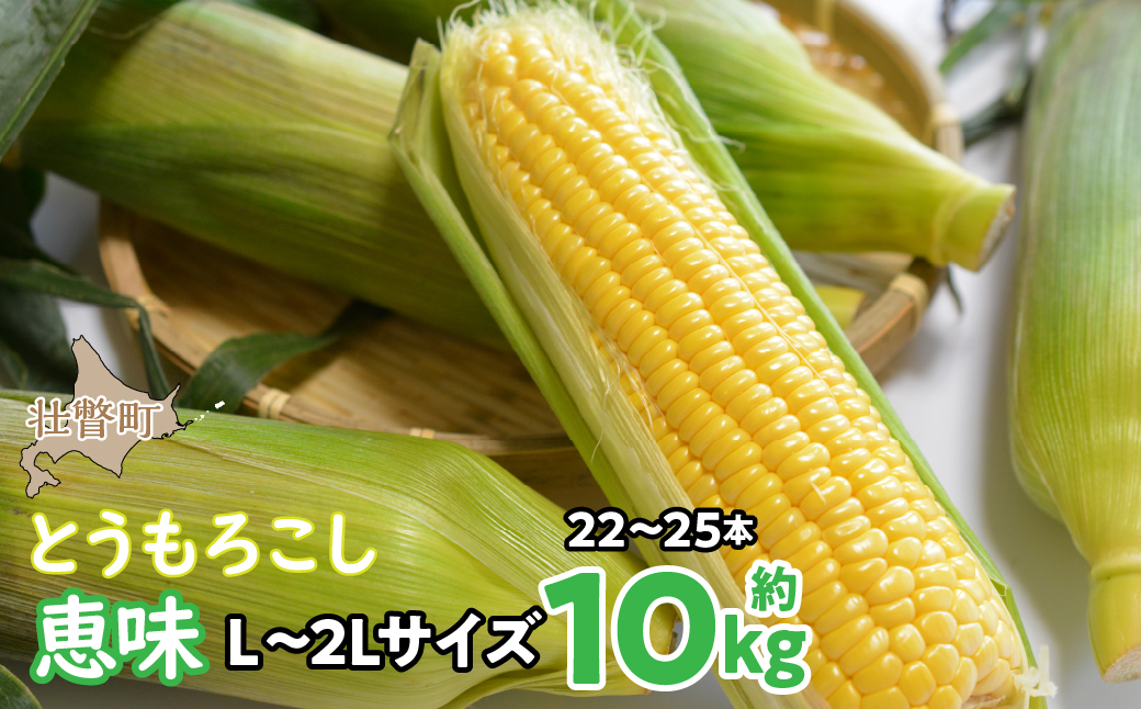 ＜2026年8月初旬よりお届け＞約10kg！北海道壮瞥産とうもろこし（恵味）【Ｌ〜2Lサイズ 22〜25本】 SBTP006