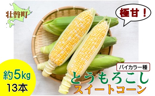 ＜2026年8月上旬よりお届け＞北海道壮瞥産 とうもろこし（スイートコーン）13本 約5kg SBTN001