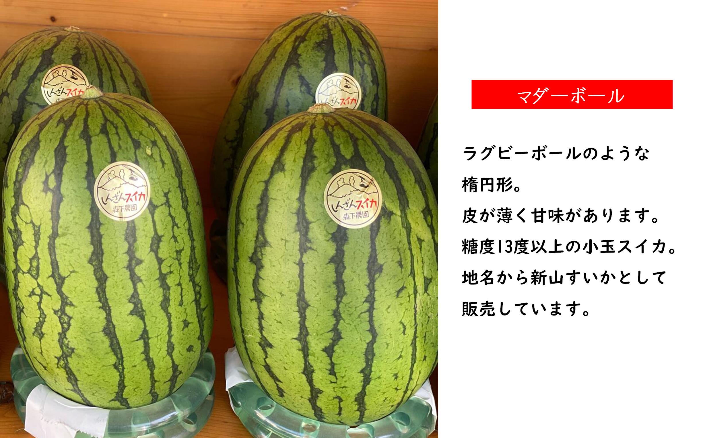 【先行予約】【定期便2回】赤肉メロン2玉＋小玉スイカ2玉 旬のフルーツ定期便<7月下旬・8月上旬お届け> SBTN011