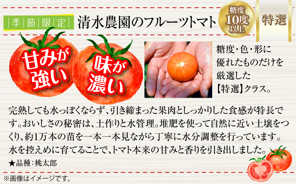 ＜2026年6月下旬よりお届け＞【特選・糖度10度以上】【農園直送】北海道壮瞥産 こだわりフルーツトマト 20玉以上 SBTO005