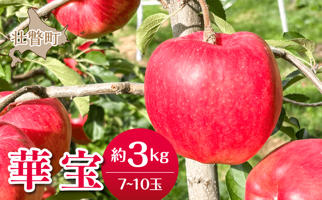 【先行予約】＜2026年10月上旬よりお届け＞北海道壮瞥町　りんご　品種名「華宝」7～10玉約3kg SBTF014