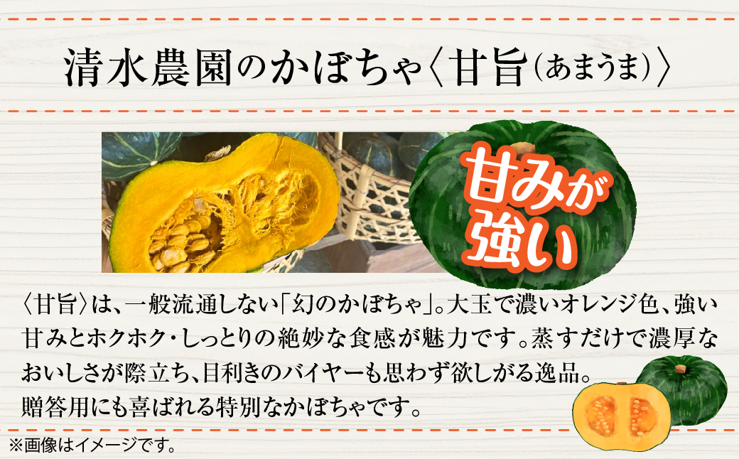 ＜2026年9月初旬よりお届け＞【農園直送】清水農園のかぼちゃ(甘旨）約10kg (4〜6玉) SBTO013