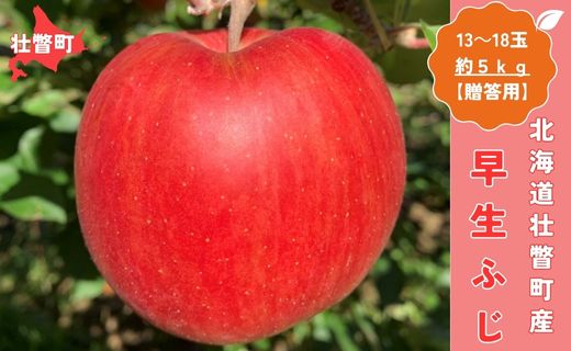 ＜10月中旬頃よりお届け＞北海道壮瞥産りんご 早生ふじ 約5kg(13〜18玉)【贈答用】 SBTK014