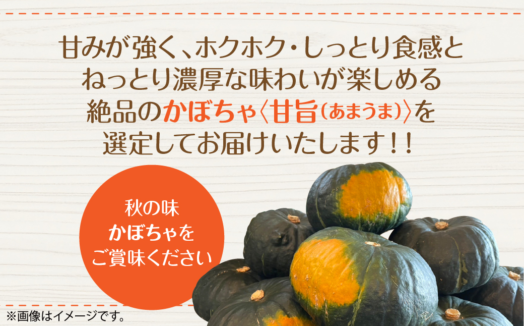 ＜2026年9月初旬よりお届け＞【農園直送】清水農園のかぼちゃ(甘旨）約10kg (4〜6玉) SBTO013
