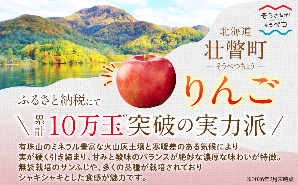 【先行予約】北海道壮瞥町産りんご「おいらせ」約3kg(7〜10玉)<2026年11月初旬にお届け> SBTF005