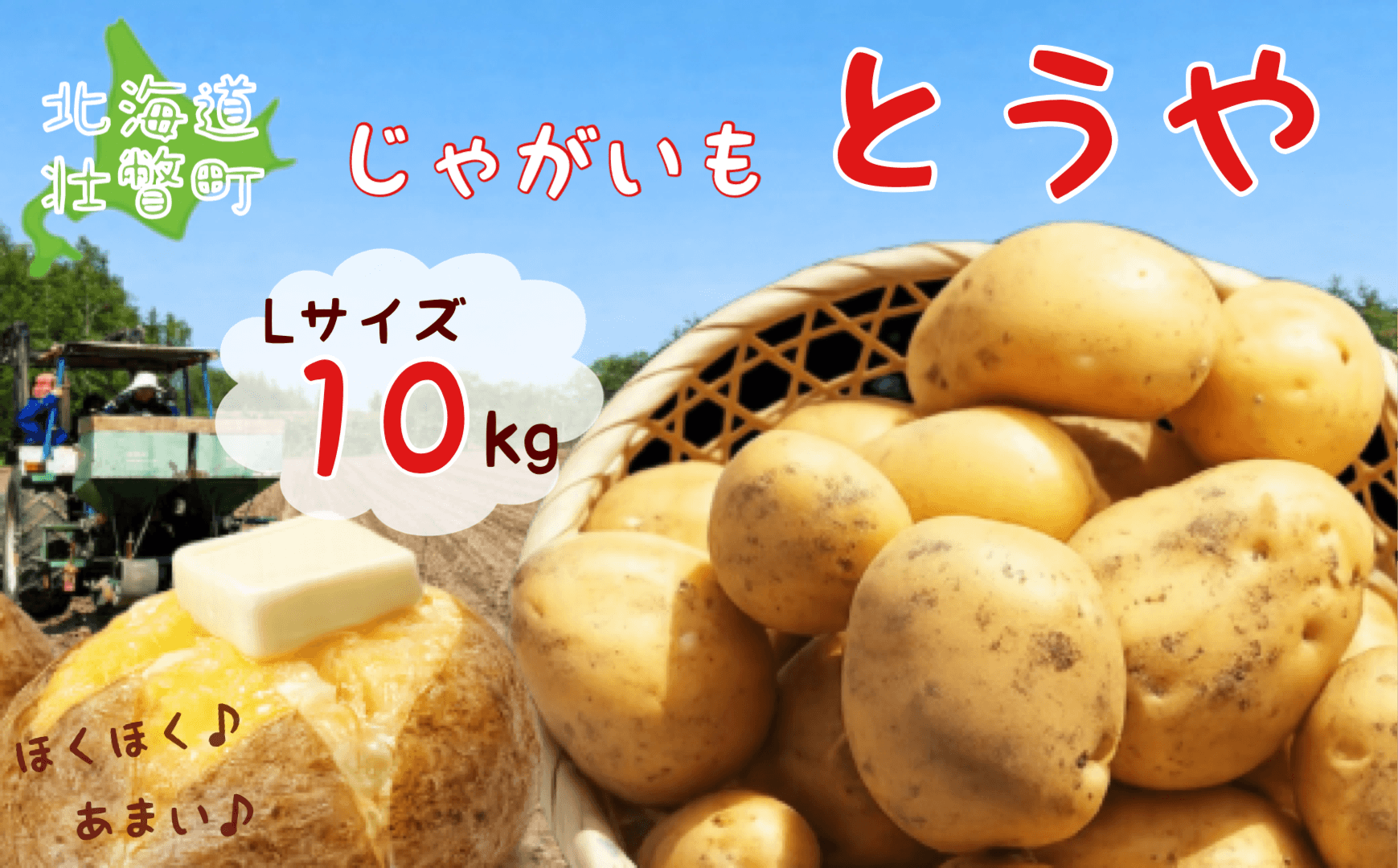 ＜2026年9月下旬よりお届け＞北海道壮瞥町産じゃがいも（とうや）Lサイズ10kg SBTN005
