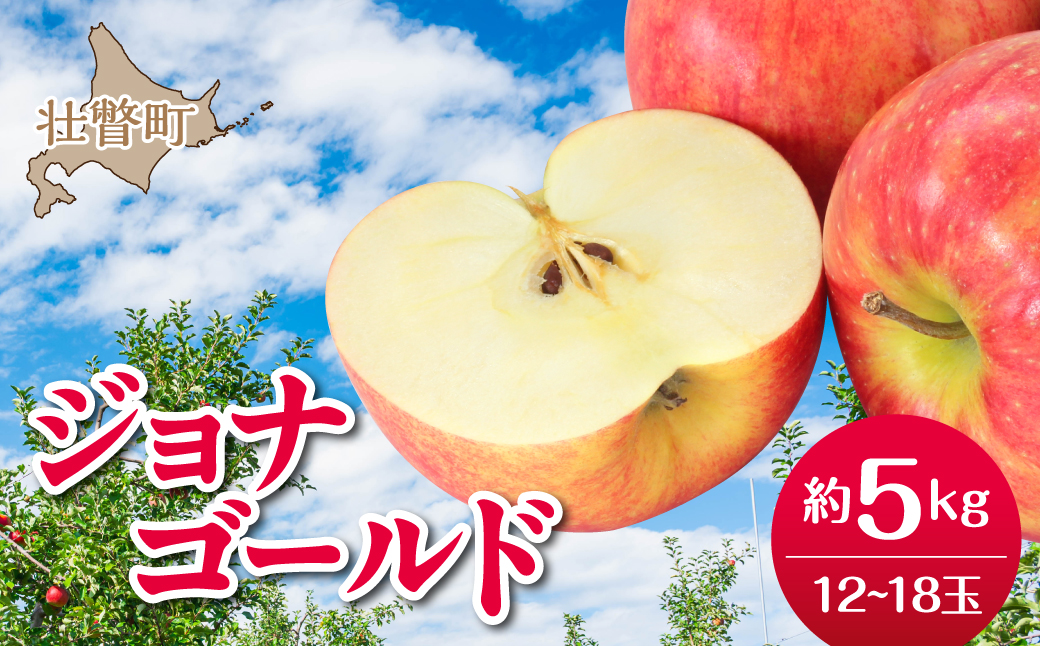 【先行予約】＜2026年10月下旬よりお届け＞北海道壮瞥町　りんご　品種名「ジョナゴールド」12〜18玉約5kg SBTF019