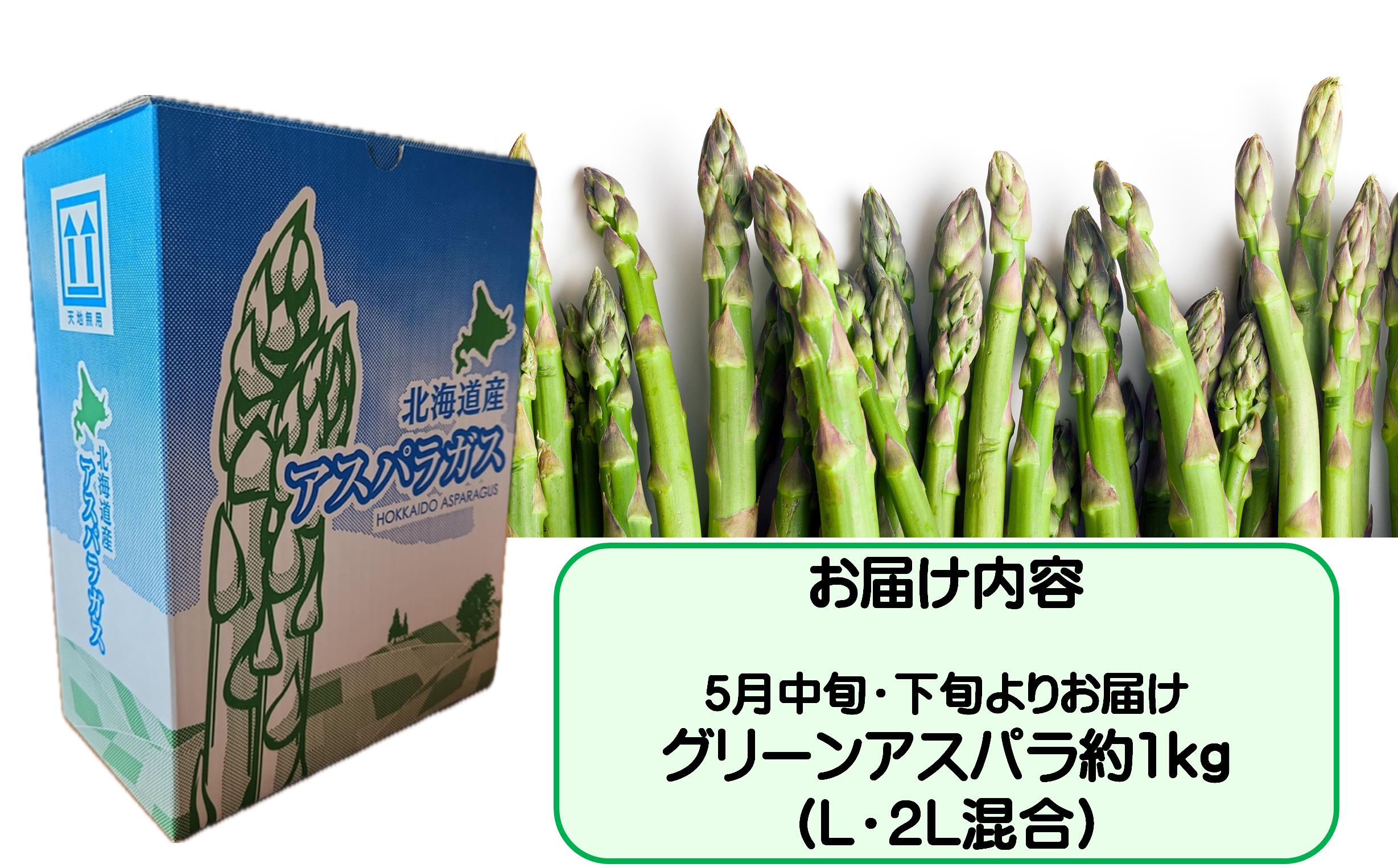 【先行予約】朝採り直送　グリーンアスパラ約1kg（L・2L混合）北海道壮瞥町 SBTM008