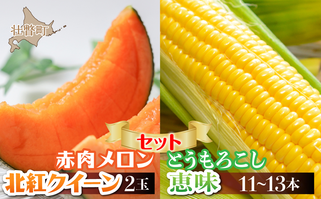 ＜2026年8月お届け＞赤肉メロン2玉ととうもろこし（恵味）11～13本のセット  SBTP015