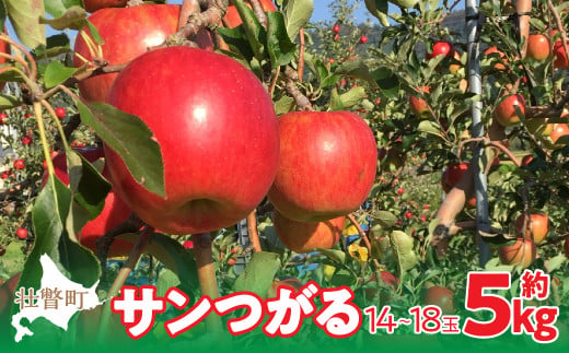【先行予約】北海道壮瞥町産りんご「サンつがる」約5kg(14〜18玉)<2026年9月下旬よりお届け> SBTF010