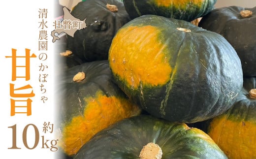 ＜2026年9月初旬よりお届け＞【農園直送】清水農園のかぼちゃ(甘旨）約10kg (4〜6玉) SBTO013