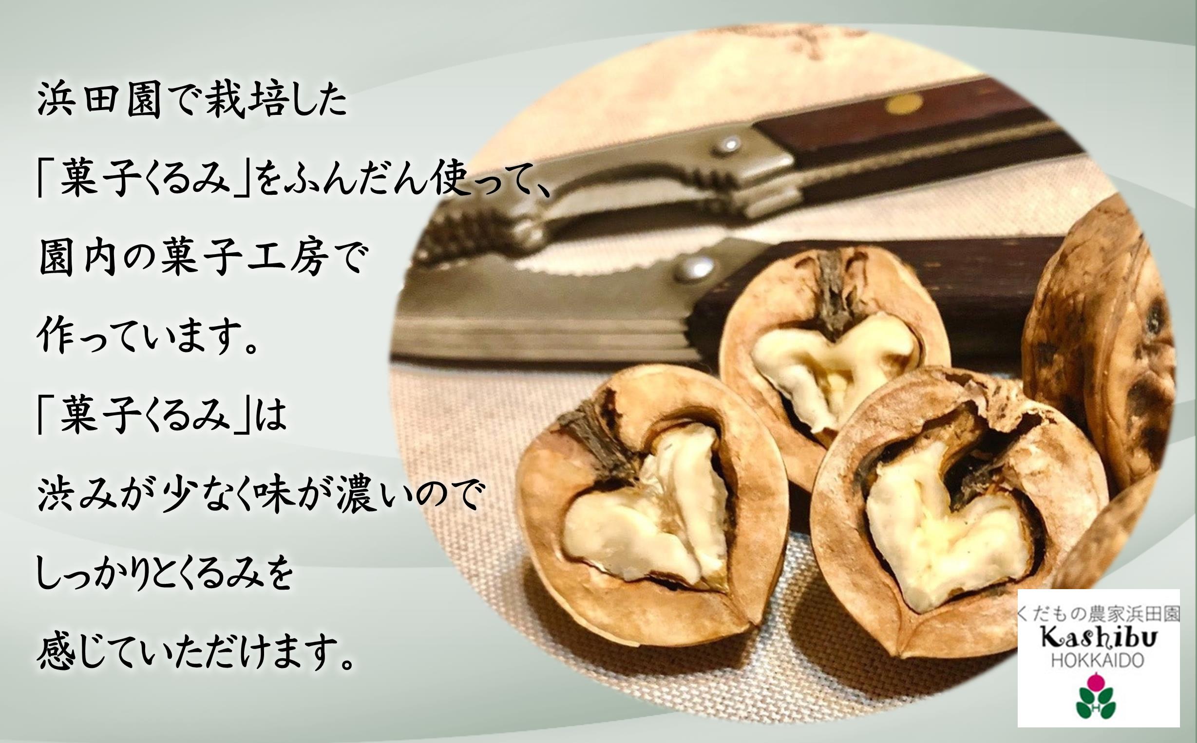 シ2025蟷エ12譛10譌・鬆繧医j縺雁ア翫¢シ槭¥繧九∩縺溘▲縺キ繧翫ち繝ォ繝亥、ァ(逶エ蠕邏20cm)