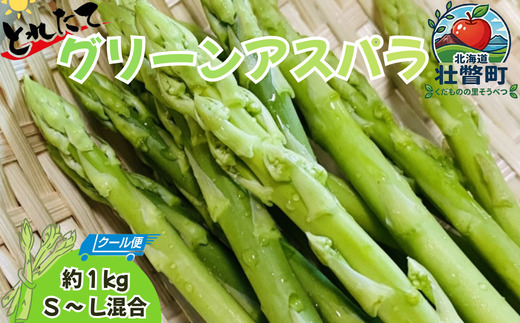 <4月より順次配送>春採りグリーンアスパラ 約1kg(S-L混合) 北海道壮瞥町産 SBTO016