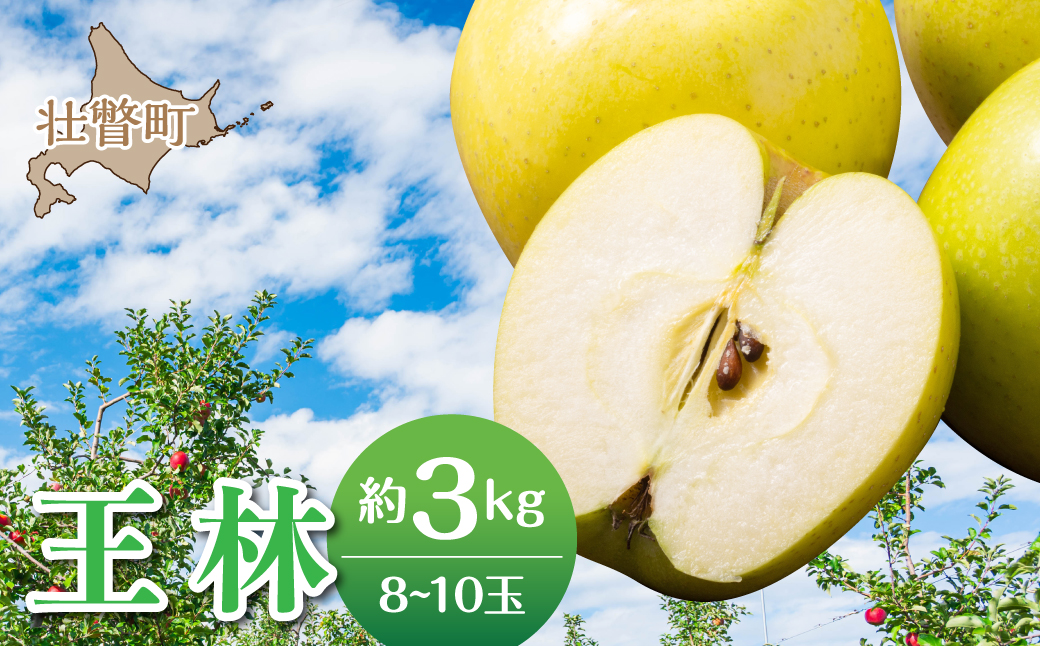 【先行予約】＜2026年11月中旬よりお届け＞北海道壮瞥町　りんご　品種名「王林」8～10玉約3kg SBTF024