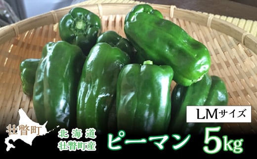 ＜2026年7月下旬よりお届け＞北海道壮瞥町産 ピーマン 約5kg SBTL014