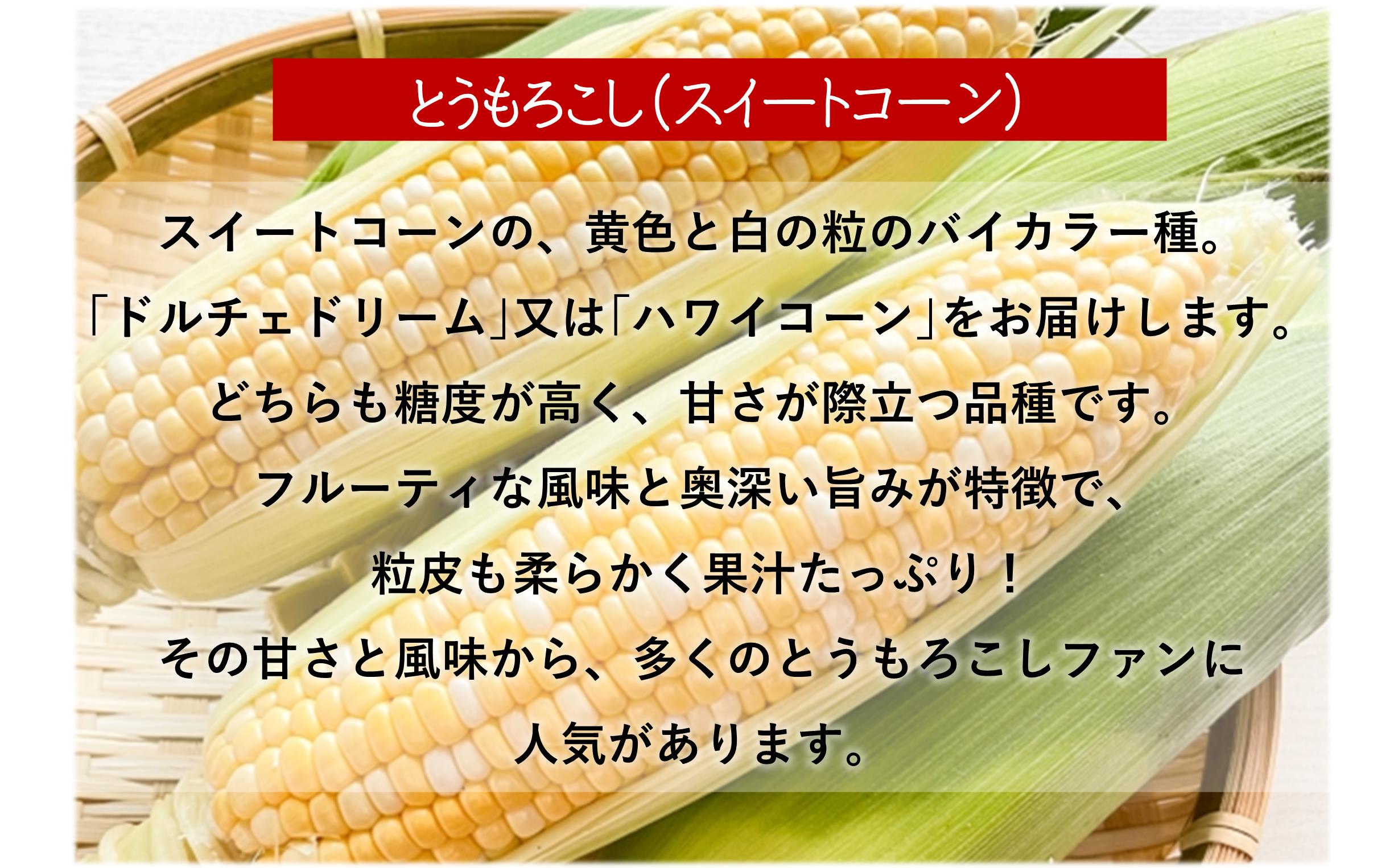 【先行予約】【3回定期便】赤肉メロン2玉＋スイートコーン約5kg(13本)＋じゃがいも(とうや)約10kg 旬のフルーツ・野菜定期便＜7月下旬・8月上旬・9月下旬お届け＞ SBTN014
