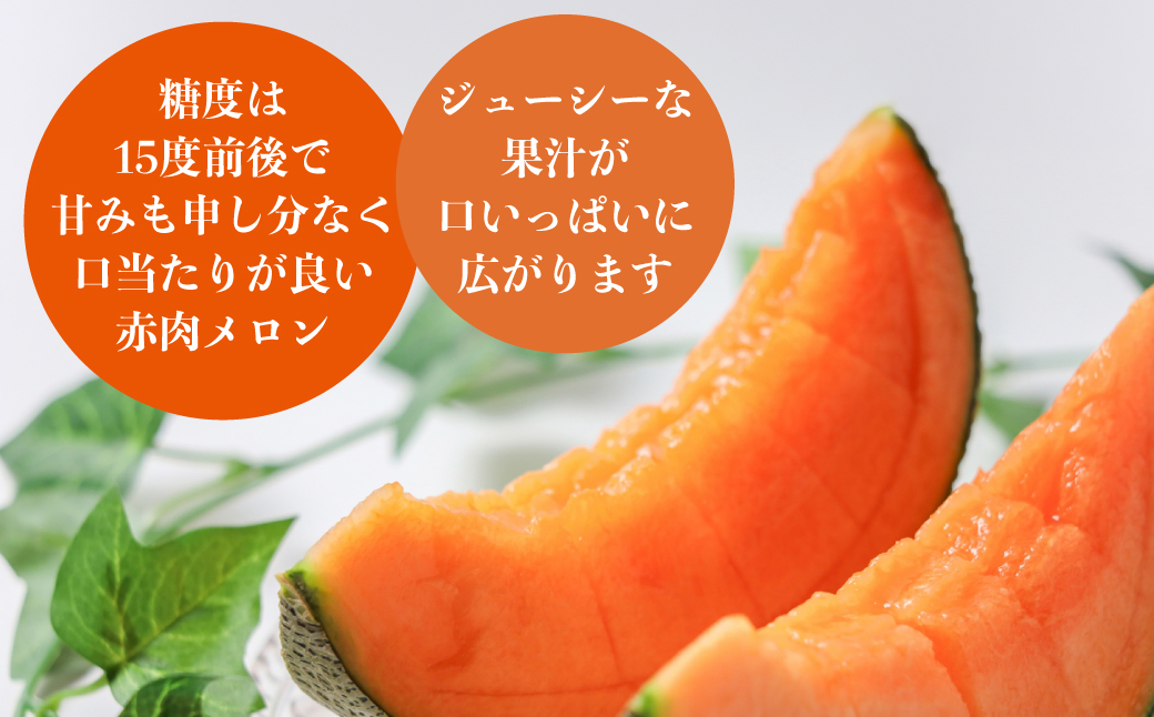 ＜2026年7月上旬よりお届け＞北海道壮瞥産 赤肉メロン「北紅クイーン」2玉入り約3.5kg以上 SBTP013