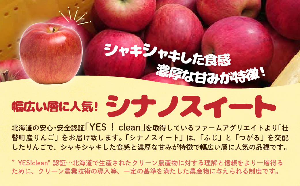 3・4月発送！ファームアグリエイトのりんご「シナノスイート」 約5kg（18～20玉）【スマートフレッシュ】 SBTB017