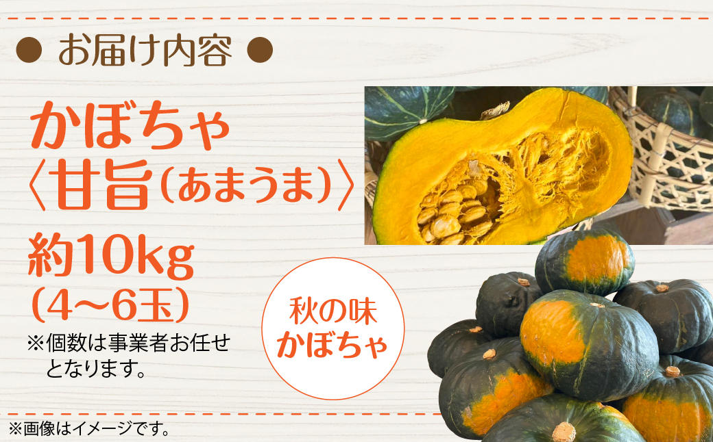 ＜2026年9月初旬よりお届け＞【農園直送】清水農園のかぼちゃ(甘旨）約10kg (4〜6玉) SBTO013
