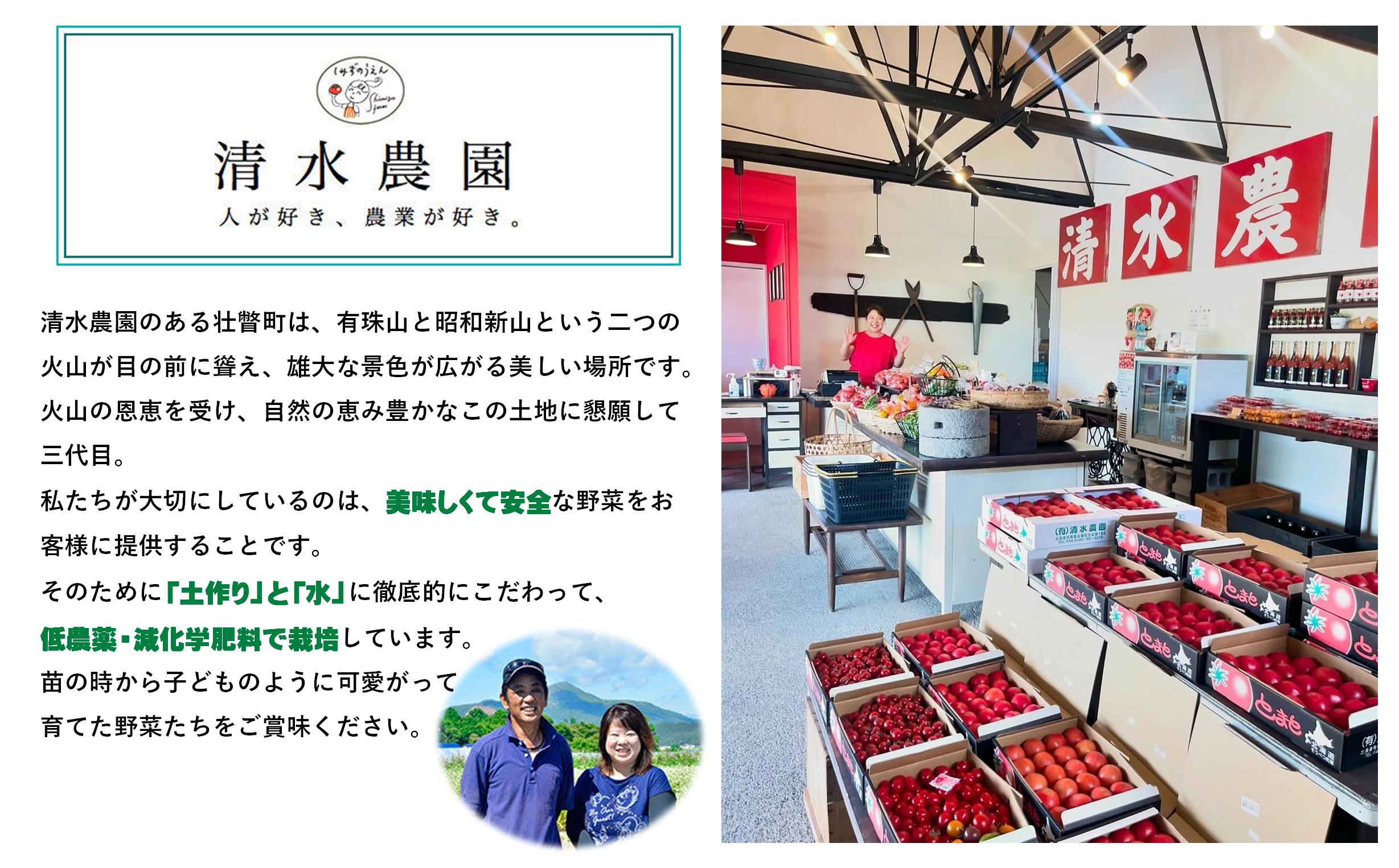 <4月より順次配送>グリーンアスパラ 約1kg(S-L混合) 北海道壮瞥町産 SBTO016