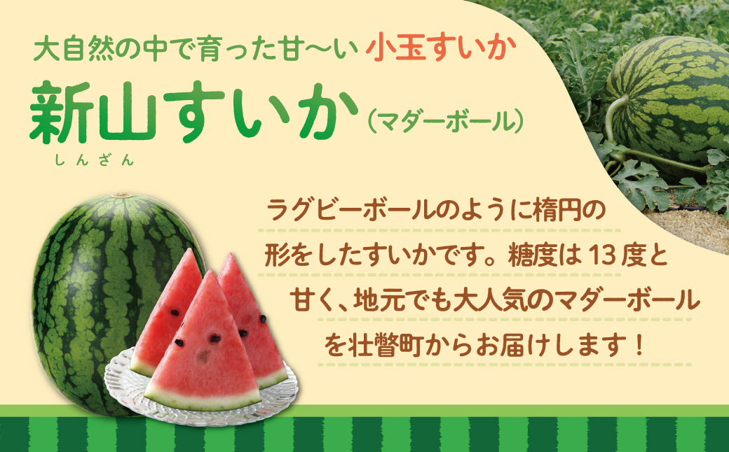 ＜2026年8月上旬よりお届け＞北海道壮瞥産　新山すいか 小玉すいか（マダーボール）Lサイズ2玉 スイカ SBTN002